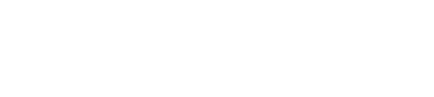 PrimeSys